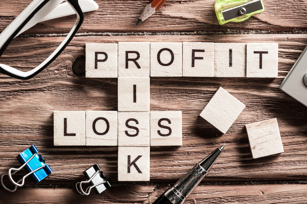 profit risk loss